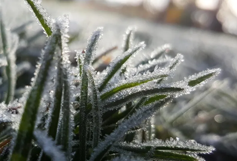 Después de la lluvia, vuelve el frío: el invierno encara su tramo final