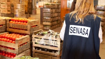 decreto anmat
