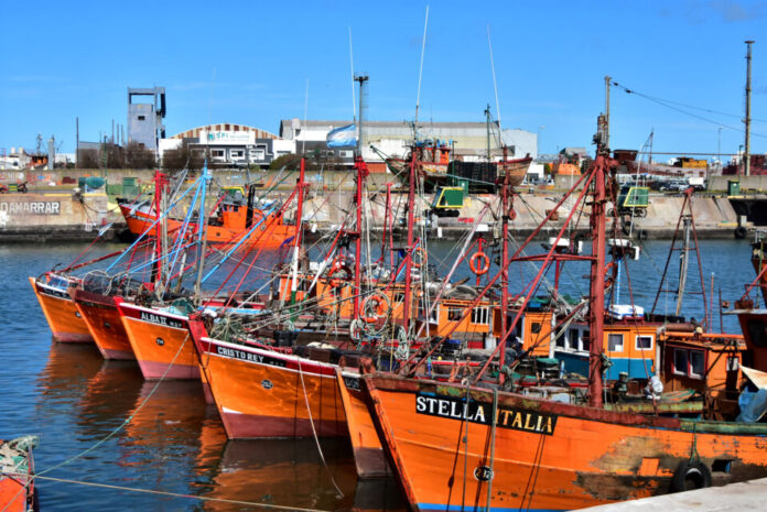 Abad pidió eliminar las retenciones a la pesca para reactivar el sector