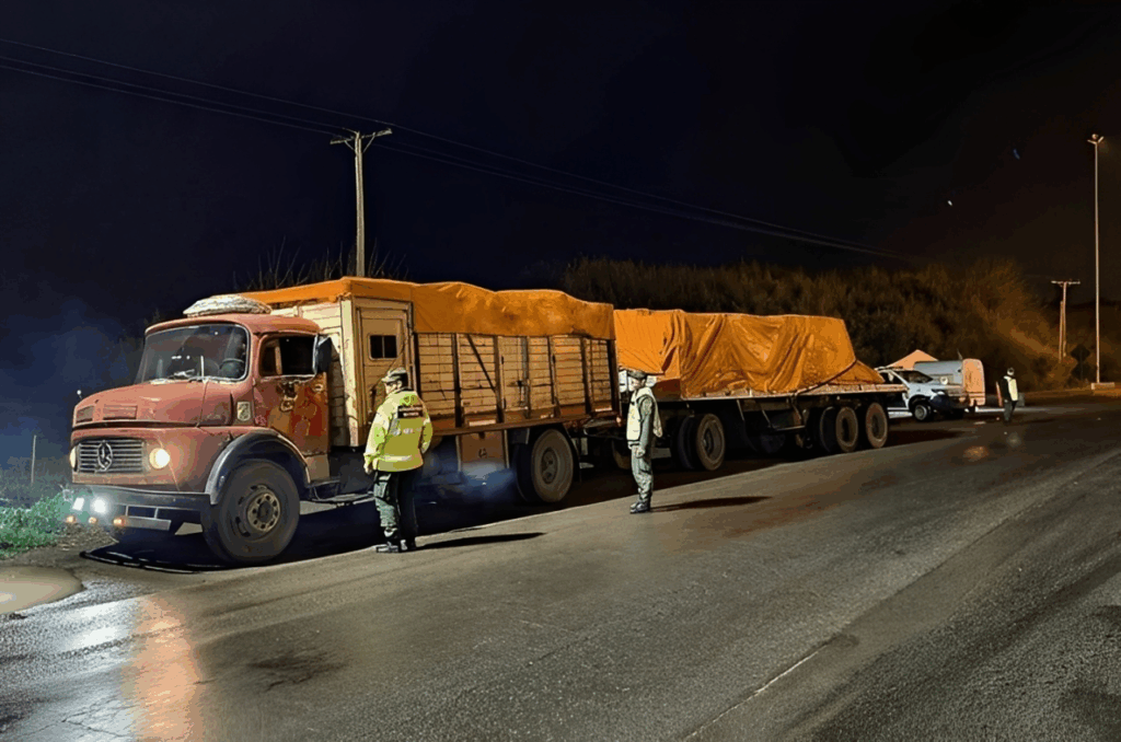 Cañuelas: interceptaron un camión que llevaba sin autorización remifentanilo, 15 veces más potente que el fentanilo