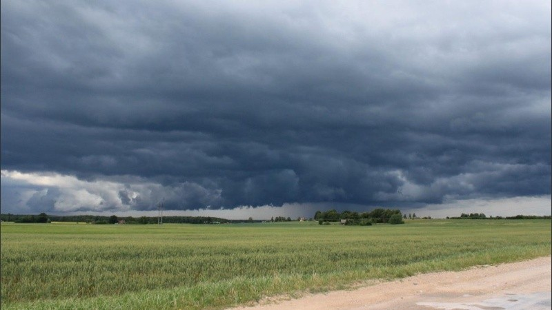 Otra avioneta sospechosa en la región: la hallaron oculta en un campo de Pergamino