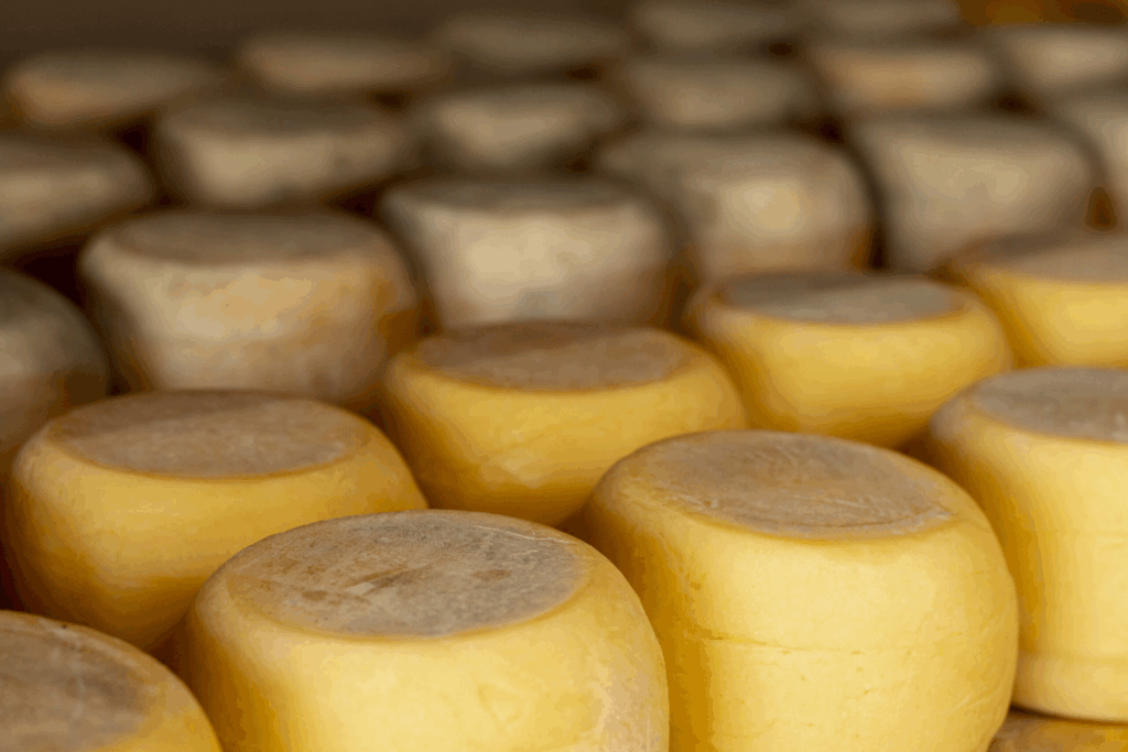 Detectan brote de listeriosis en Argentina vinculado a un queso criollo