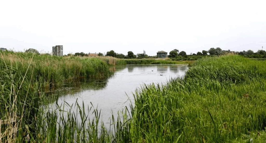 Inglaterra se enfrenta a un déficit de agua “de importancia nacional”