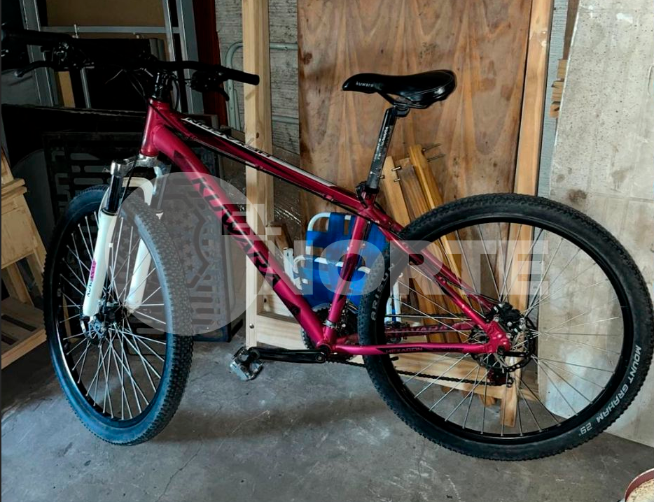 bicicleta