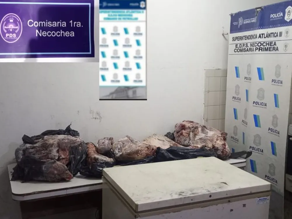 Necochea: la policía encontró dos autos robados en una casa donde bajaban carne