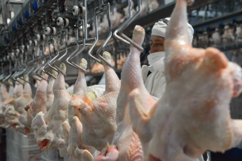 El Gobierno aclaró que las retenciones cero siguen vigentes para la exportación de carnes