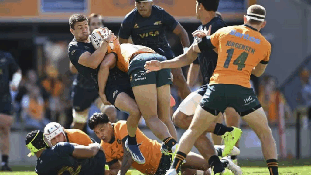 Los Pumas