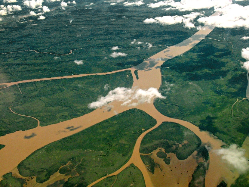 biodiversidad