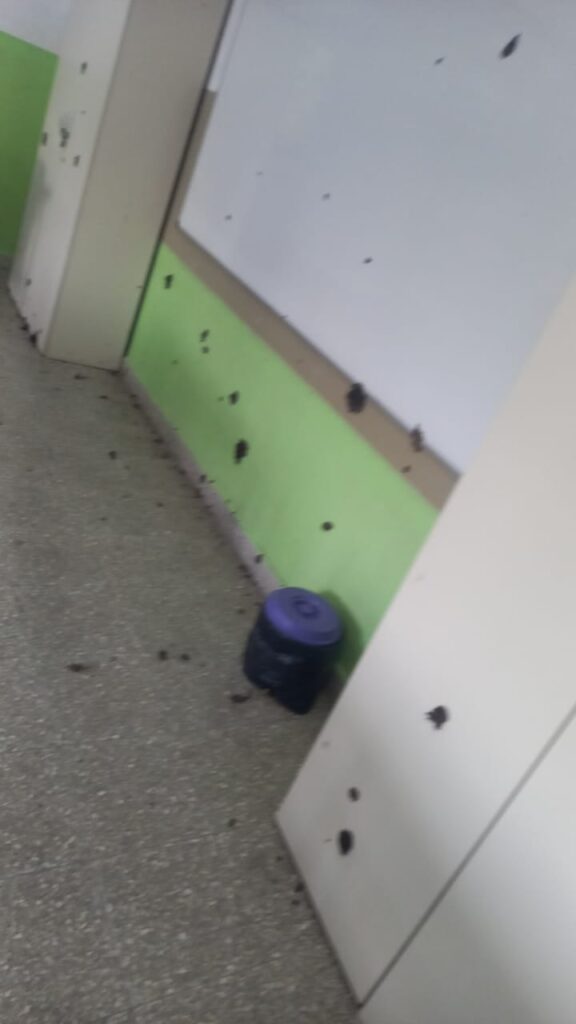 barrio las mellizas