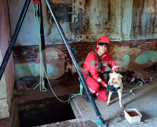 Los Bomberos rescataron a un perro atrapado a 4 metros de profundidad en el sótano de una casa abandonada