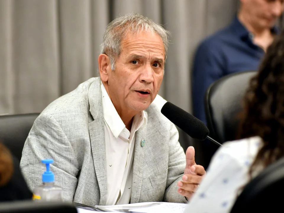 diputado