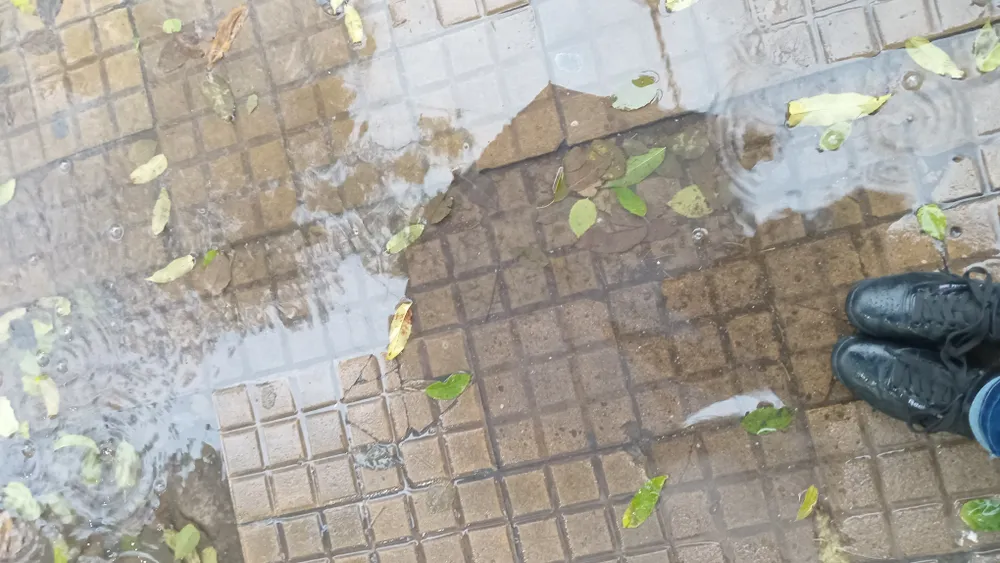 Alerta amarilla por tormentas en gran parte de la provincia de Buenos Aires
