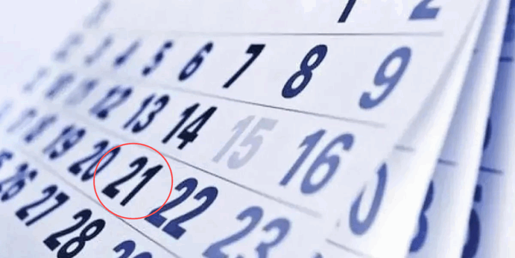 noviembre nuevo fin de semana largo