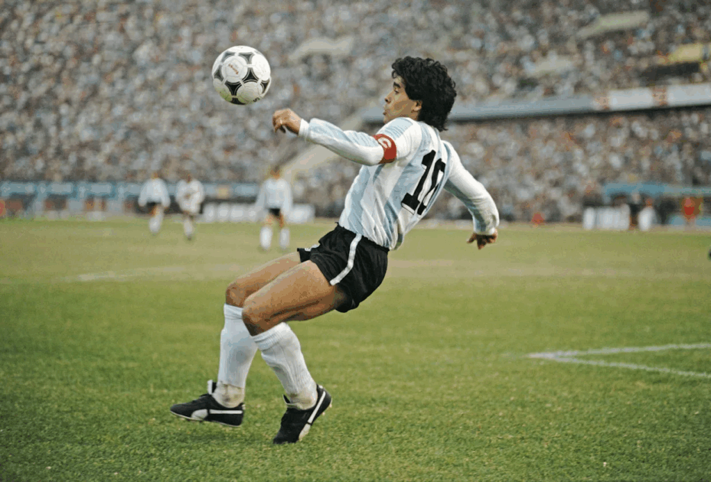 Diego 65