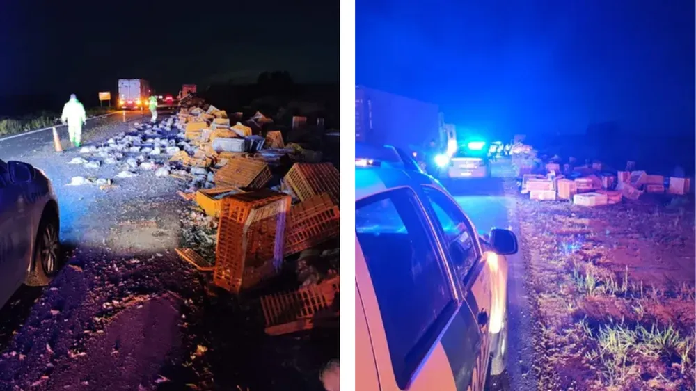 Pergamino: en 24 horas volcaron dos camiones en el kilómetro 206 de la Ruta 8