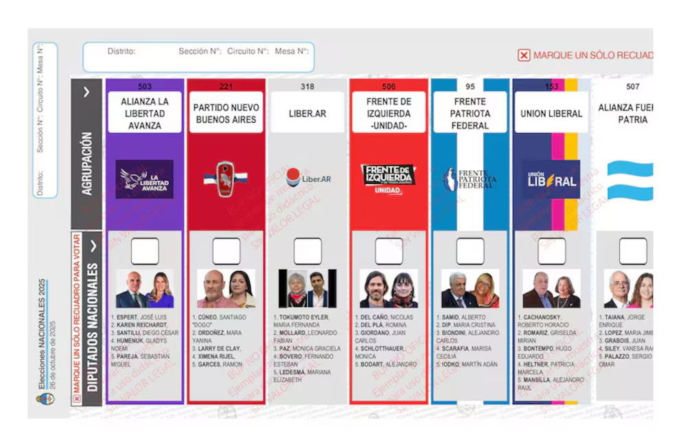 gobierno boletas fallo