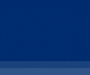 spot_img