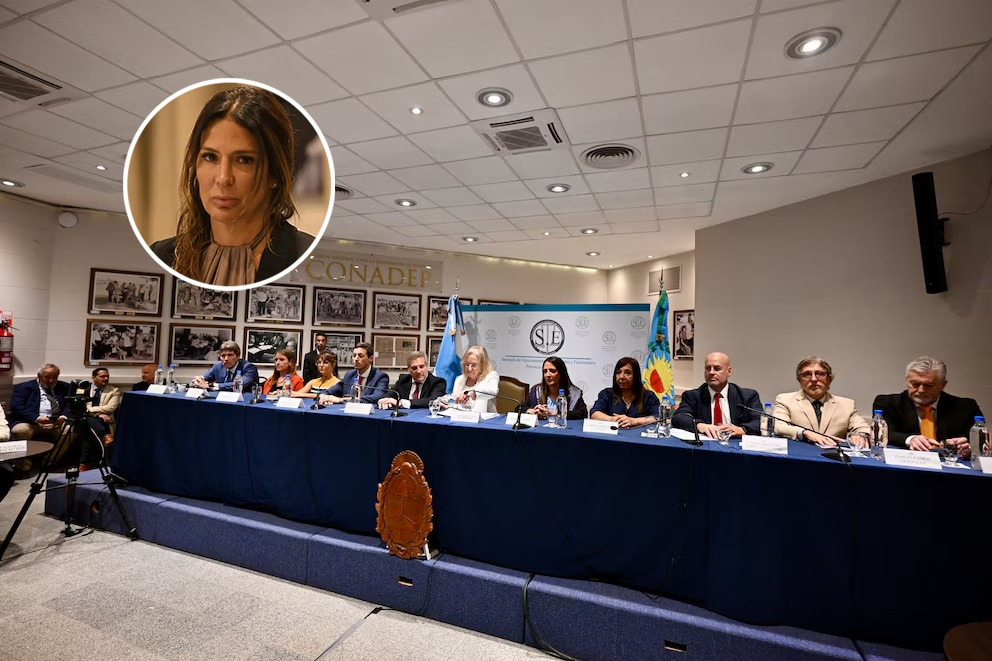 destituyeron jueza Julieta Makintach jurado