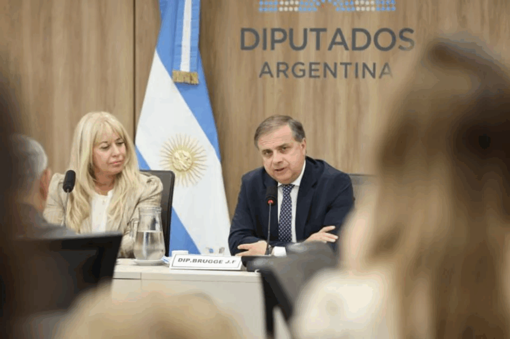 Intendentes reclamaron en Diputados una reducción del IVA para compras y contrataciones de municipios