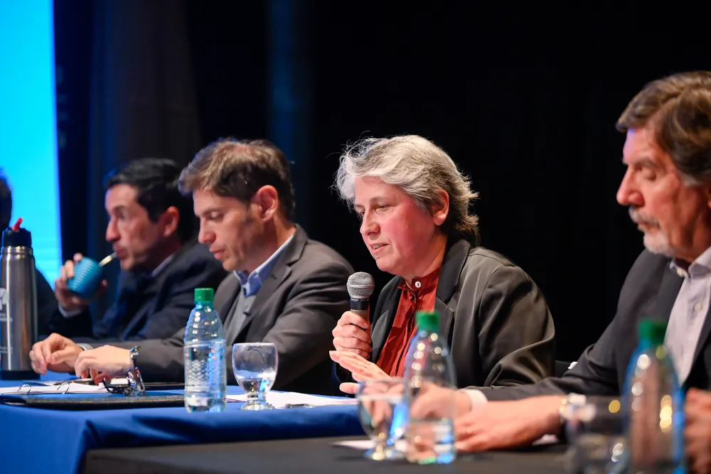 El Senado bonaerense designó a Flavia Terigi como nueva directora de Educación