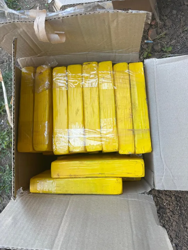 Parte de la cocaína incautada en Santa Fe podría haberse distribuido en la región norte bonaerense