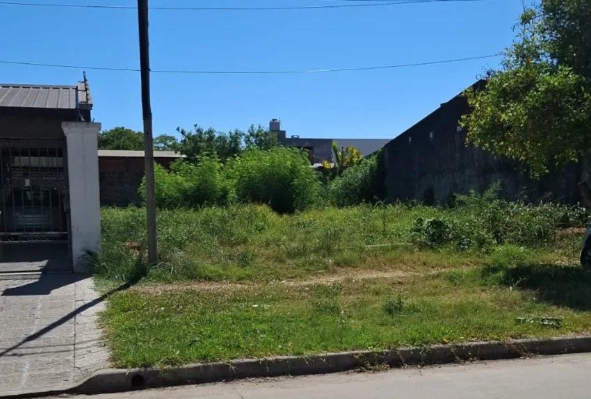 Multas por terrenos con malezas en Ramallo podrían superar los $500.000
