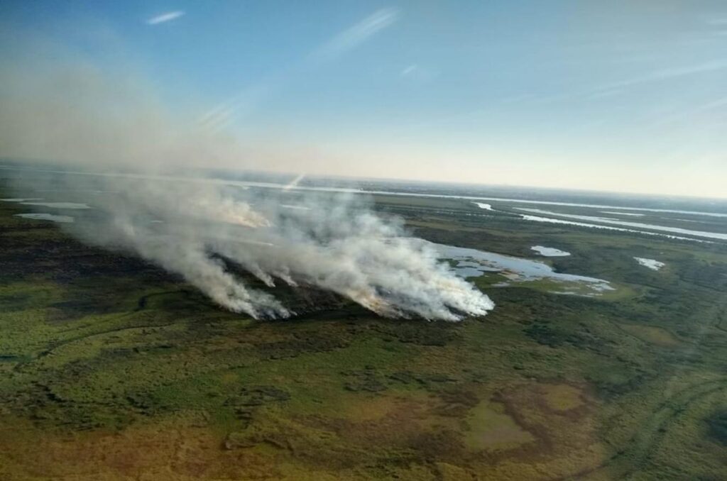 La Corte Suprema dictó un fallo histórico sobre las quemas en el Delta del Paraná