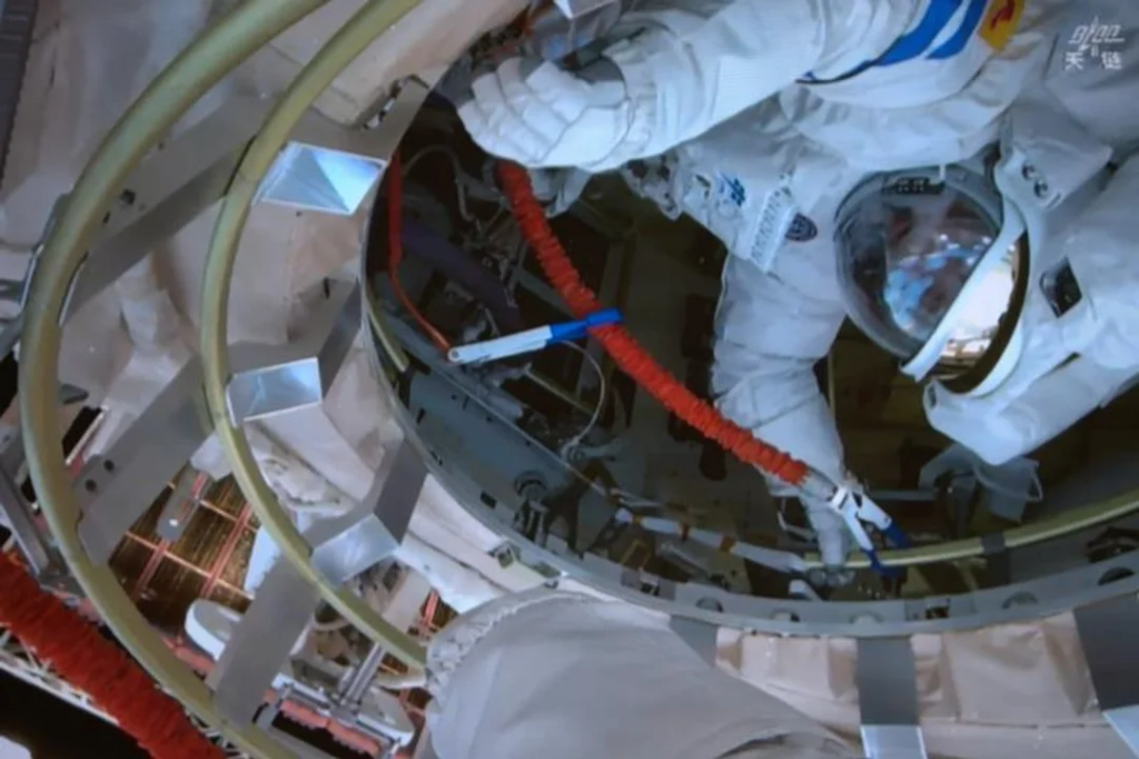 crías ratón dio luz misión espacial
