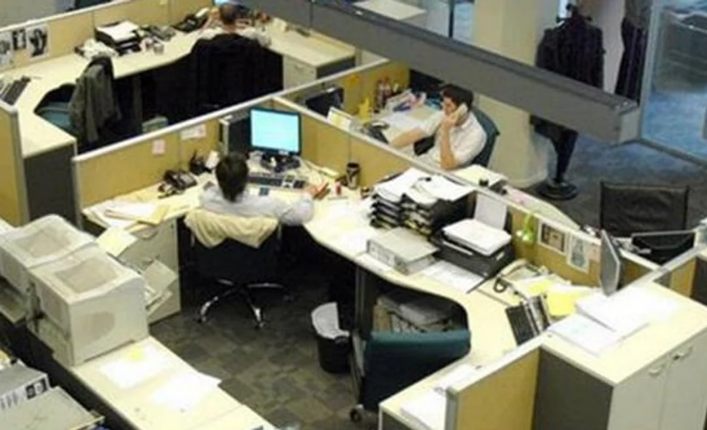 administración pública