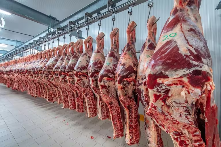 China aplicará un arancel del 55% a la carne argentina que supere la cuota anual