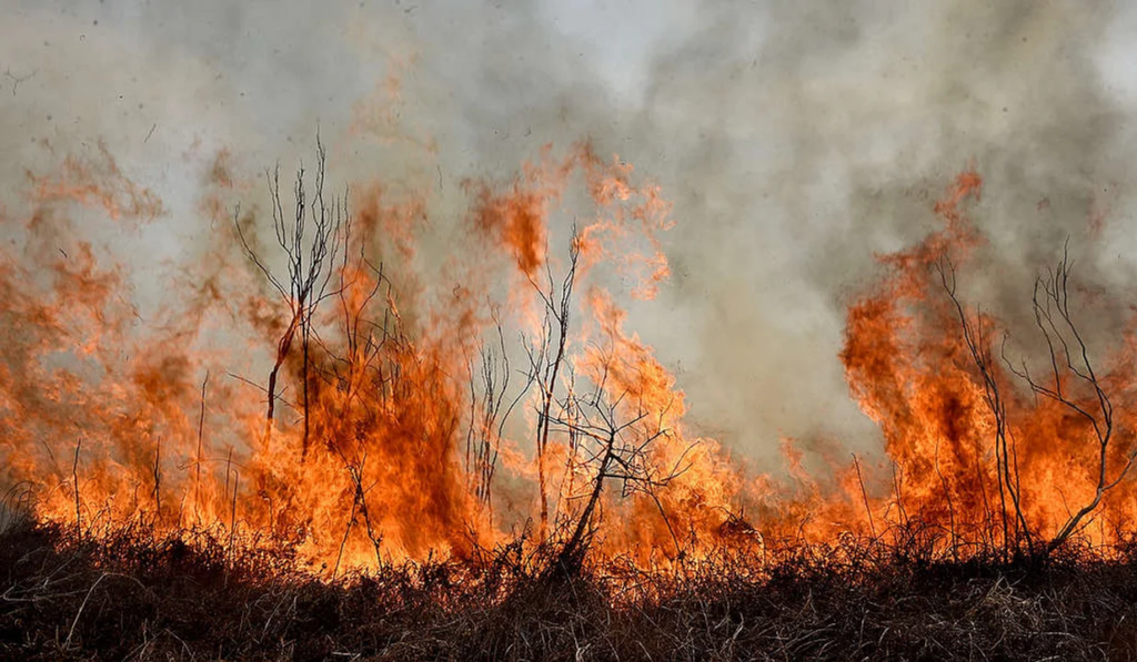 Daño ambiental: la Corte condenó a Nación, provincias y municipios por las quemas en el Delta del Paraná