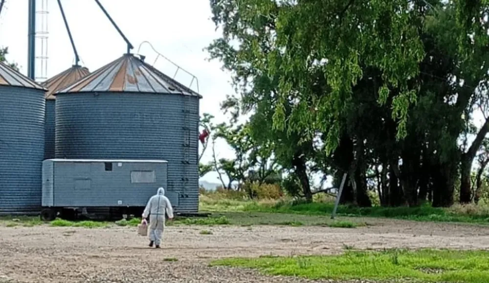 Saladillo confirmó un caso positivo de hantavirus en un trabajador rural