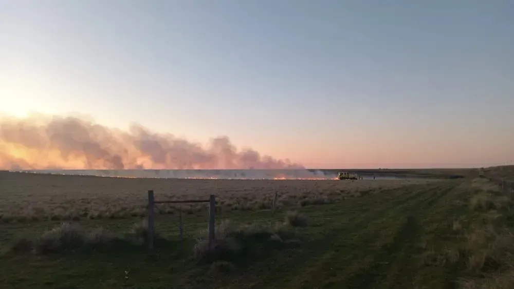 Alerta en el sudoeste bonaerense: advierten alto riesgo de incendios por la ola de calor