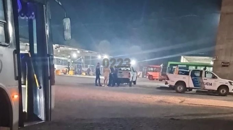 mar del plata murió joven aplastado colectivo víctima