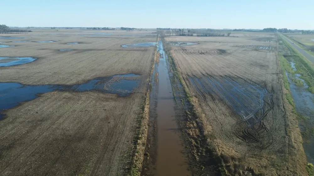 La Provincia prorrogó la emergencia agropecuaria en Guaminí y Coronel Suárez