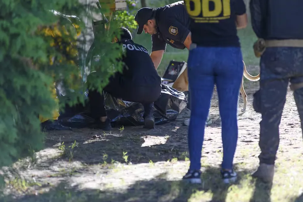 Tragedia en Pinamar: un hombre de 71 años mató a su hijo tras una pelea familiar