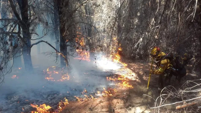 Por los incendios, gobernadores patagónicos reclamaron al Congreso una ley de Emergencia Ígnea