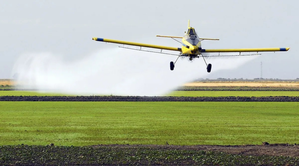 rosario jucio agroquímicos pergamino contaminación