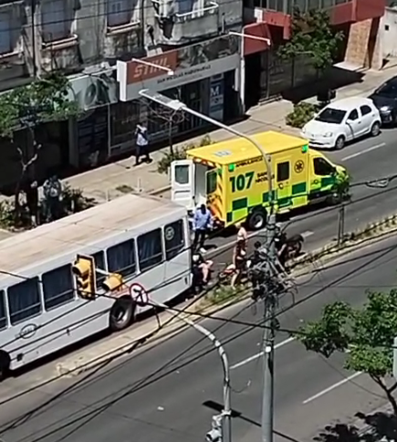 colectivo