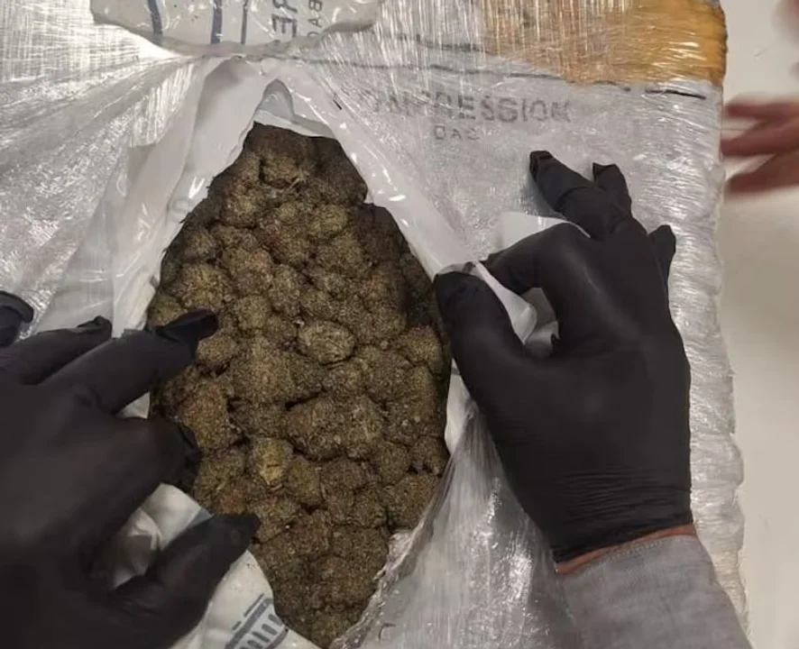Secuestraron 129 kilos de marihuana en Ezeiza y Misiones durante el fin de semana