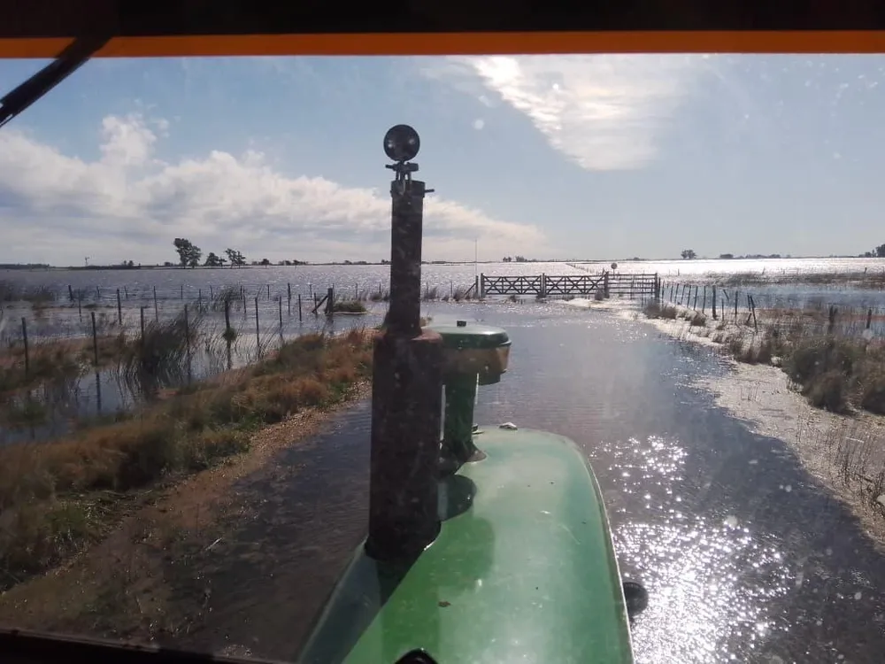 Inundaciones: prorrogan la emergencia agropecuaria en varios distritos bonaerenses