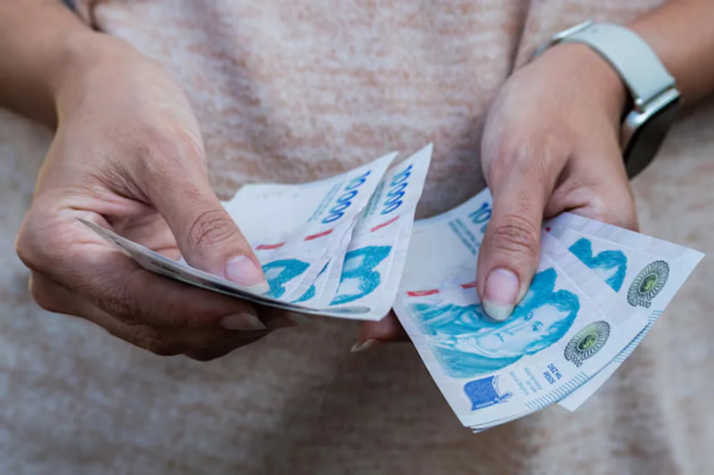 ANSES: todos los montos de haberes y asignaciones de enero
