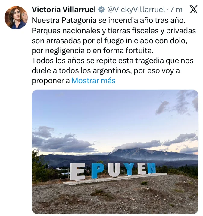 Incendios en Chubut: Victoria Villarruel aboga por mayor “coordinación entre el Estado nacional y las provincias”