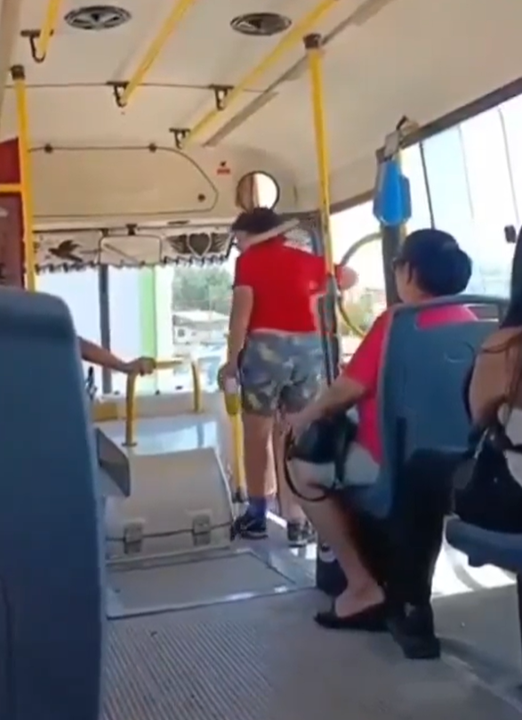 Merlo colectivo