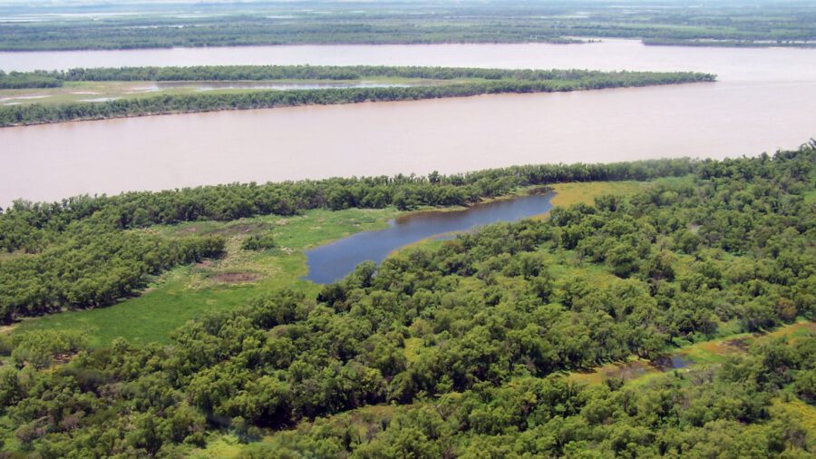 El Delta del río Paraná se hunde más rápido que el nivel del mar