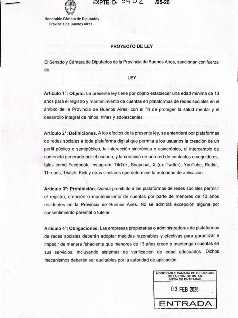 Proponen prohibir las redes sociales a menores de 13 años en toda la provincia de Buenos Aires
