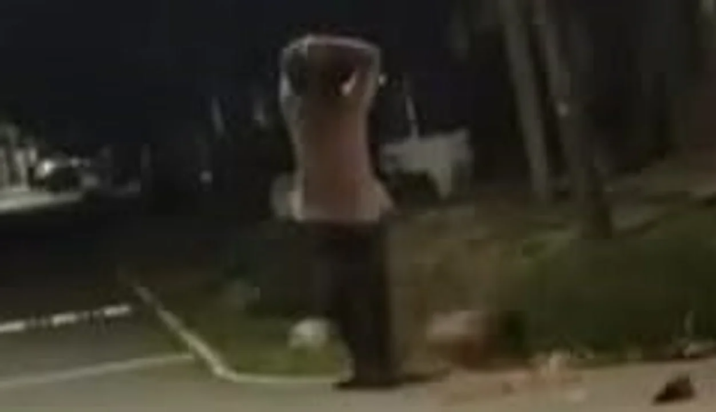 Un joven mató a su tío con un bate de béisbol en Del Viso