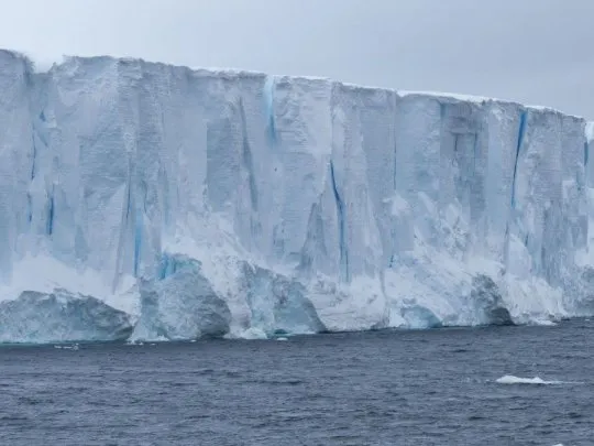 icebergs