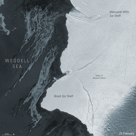 icebergs