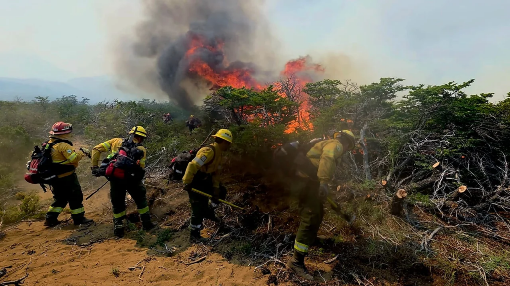 Incendios en Chubut: afirman que "son cada vez más violentos y prolongados y requieren presencia del Estado"